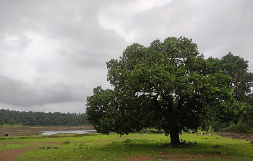 Khadkhad Dam – Maharashtra