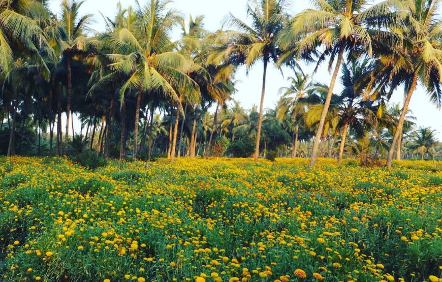 Navapur Beach – Maharashtra