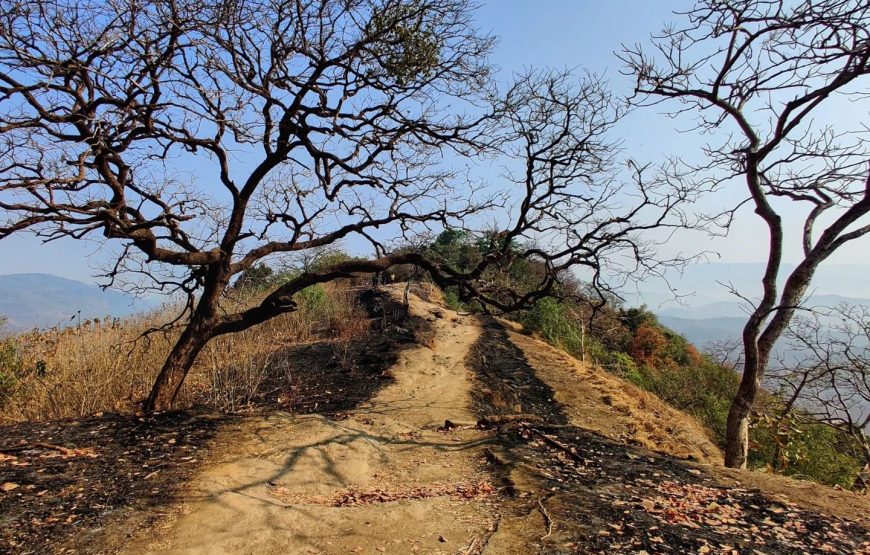 Karnala – Maharashtra