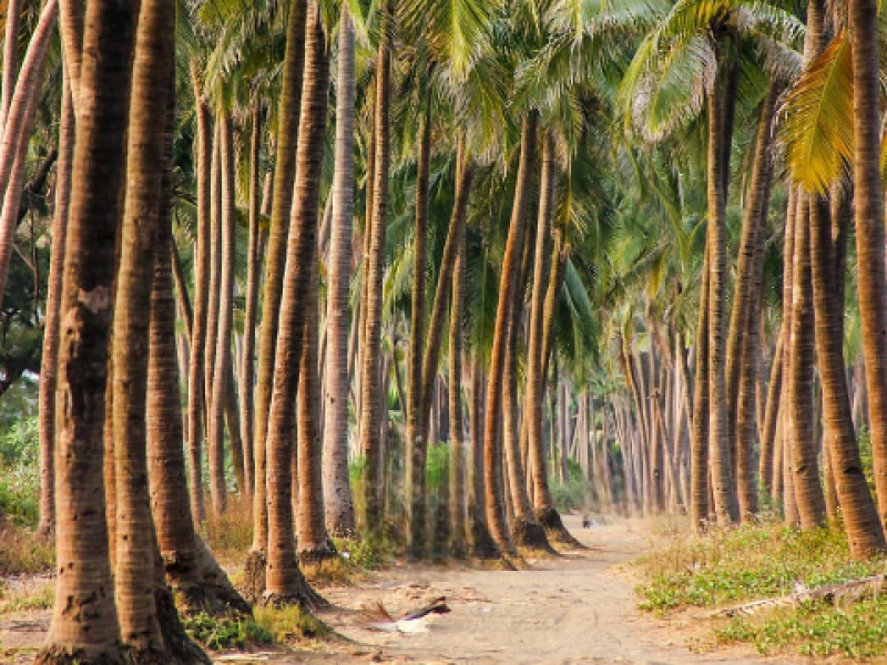 Navapur Beach – Maharashtra