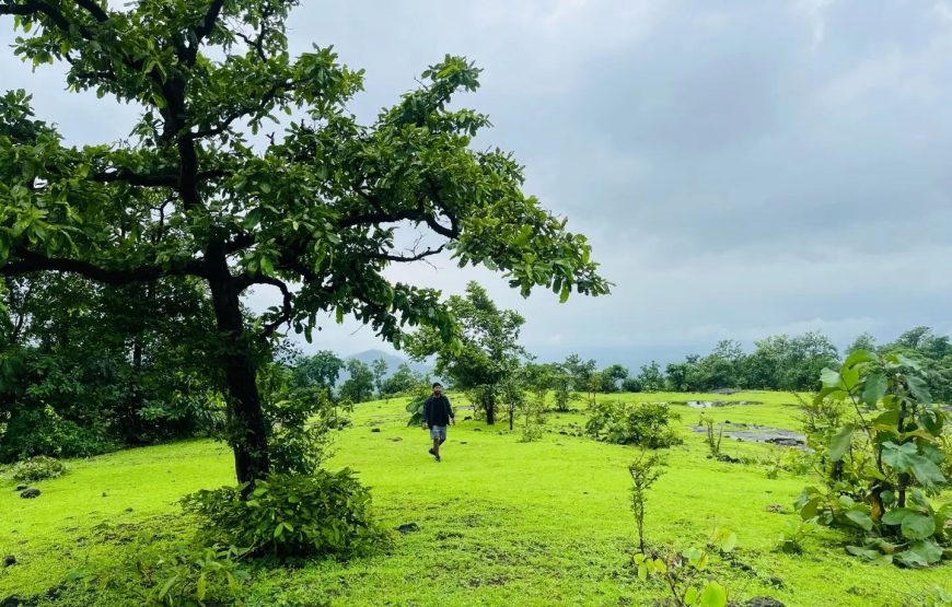Bhimashankar Village – Maharashtra