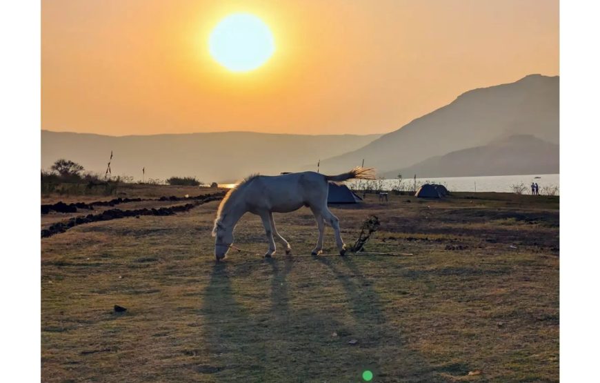 Dhom Dam Lake – Maharashtra