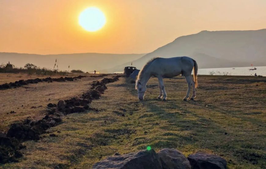 Dhom Dam Lake – Maharashtra