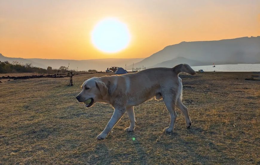 Dhom Dam Lake – Maharashtra