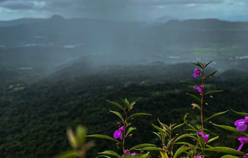 Karnala – Maharashtra