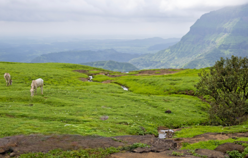 Malshej Ghat – Maharashtra