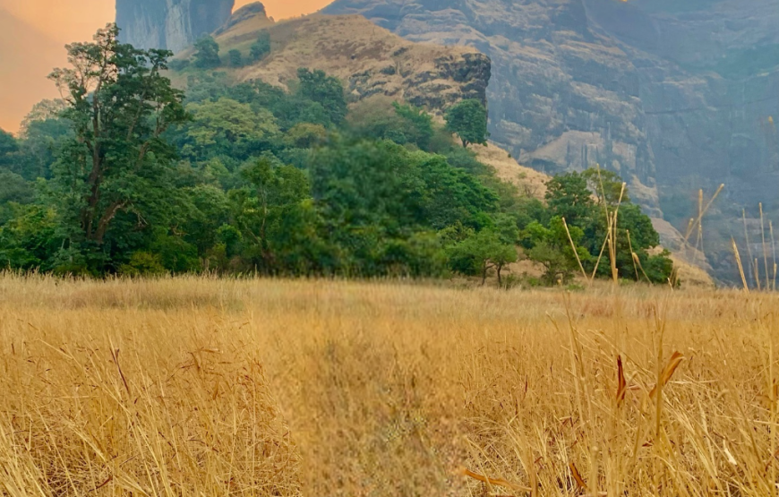 Ghanchakkar Camping – Maharashtra