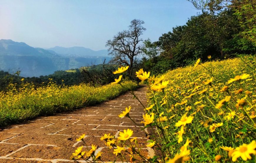 Karnala – Maharashtra
