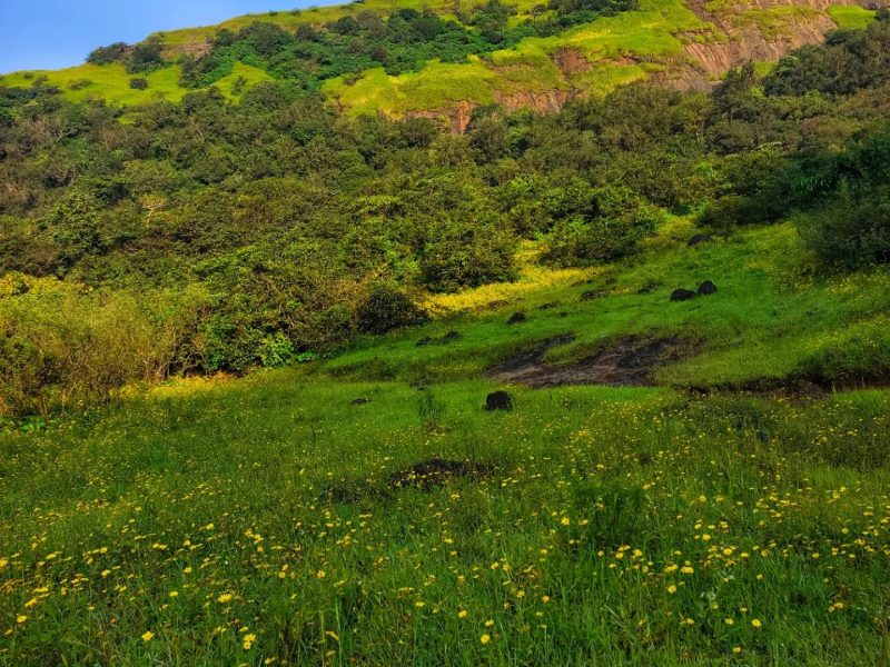 Karnala – Maharashtra