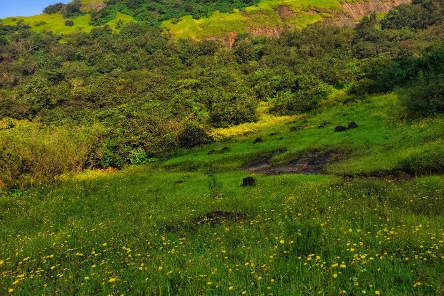 Karnala – Maharashtra