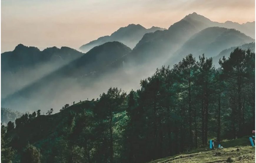 Jungle Gali – Jammu and Kashmir
