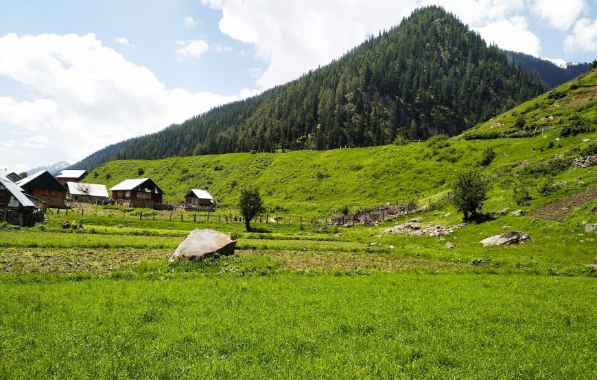 Aru Eco Resort –  Pahalgam, Jammu and Kashmir
