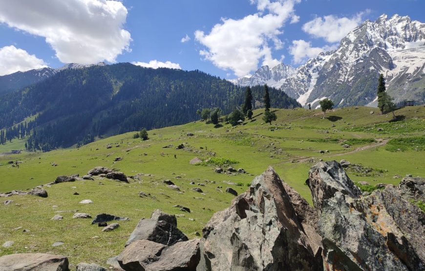 Thajiwas Glacier – Jammu and Kashmir