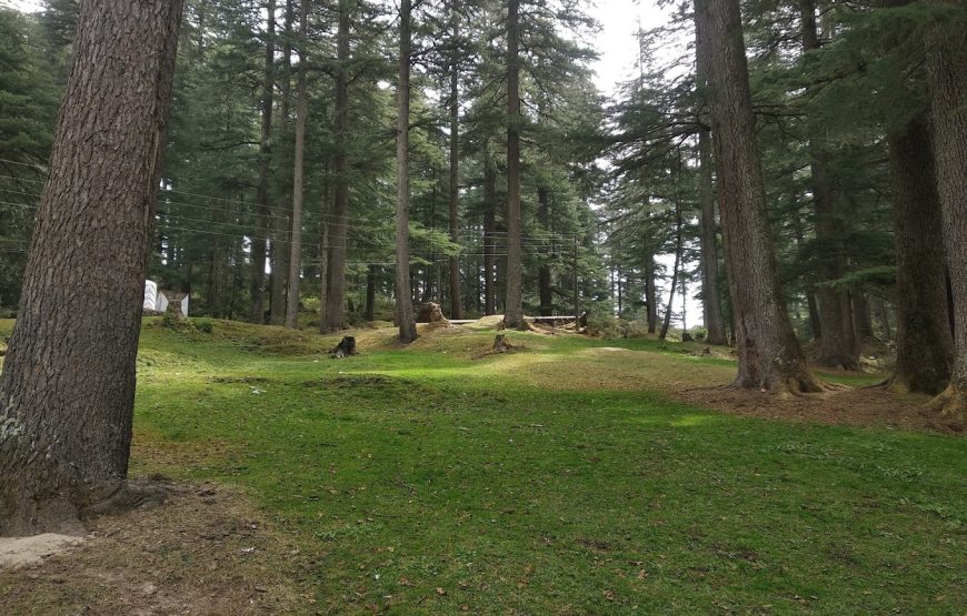 Khajjiar Lake and Valley – Mini Switzerland, Himachal Pradesh