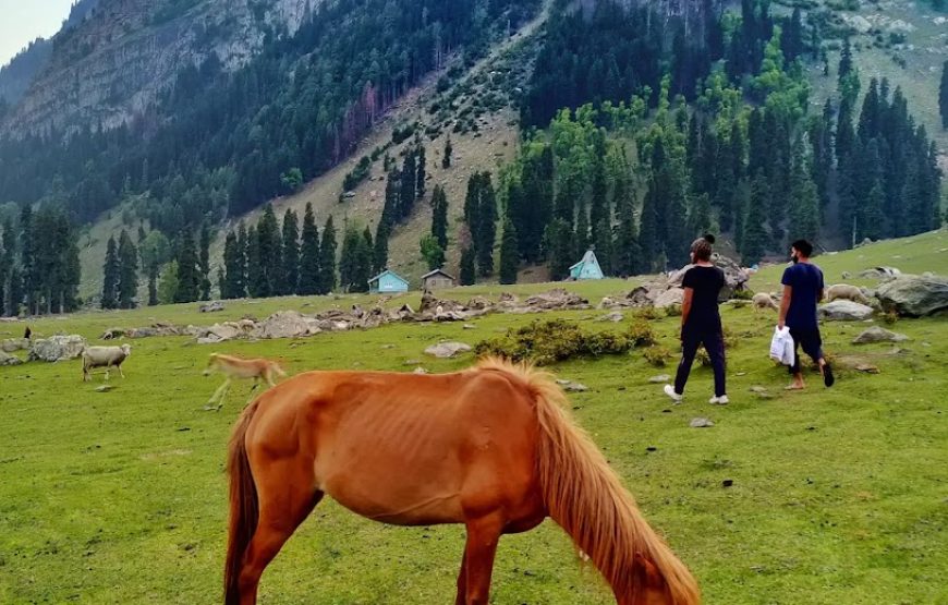 Lidderwat – Jammu and Kashmir