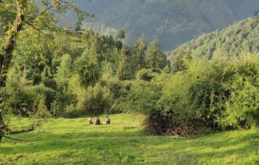 Shangarh Meadow – Himachal Pradesh