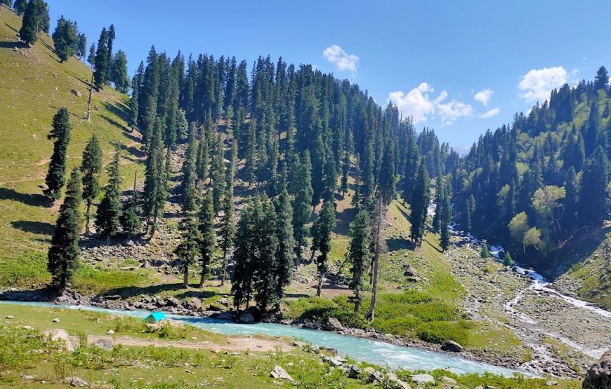 Fish Point Sonmarg – Jammu and Kashmir