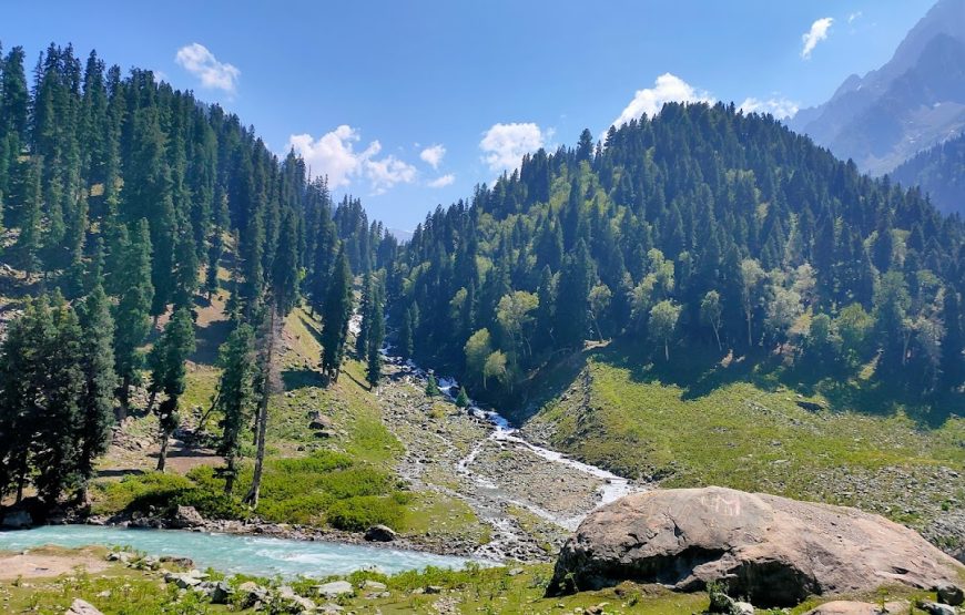 Fish Point Sonmarg – Jammu and Kashmir