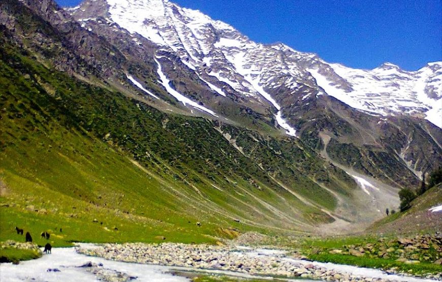 Satlanjan Campsite – Jammu and Kashmir