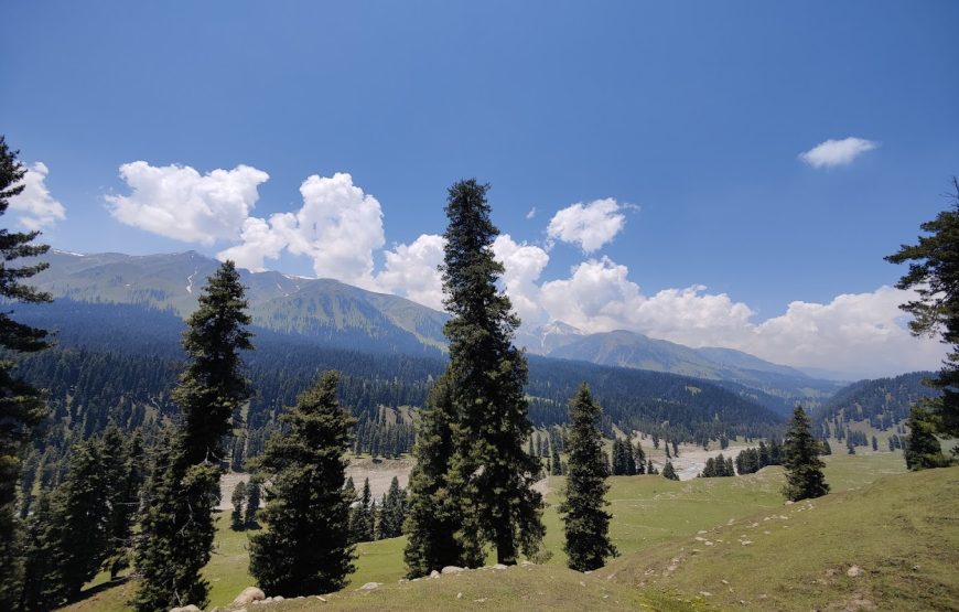 Chirsar Meadow Kulgam – Jammu and Kashmir