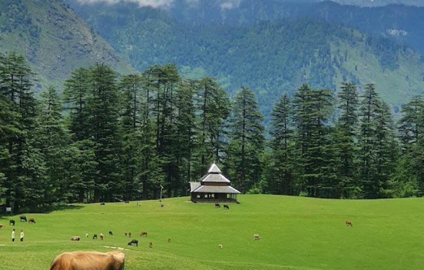 Shangarh Meadow – Himachal Pradesh