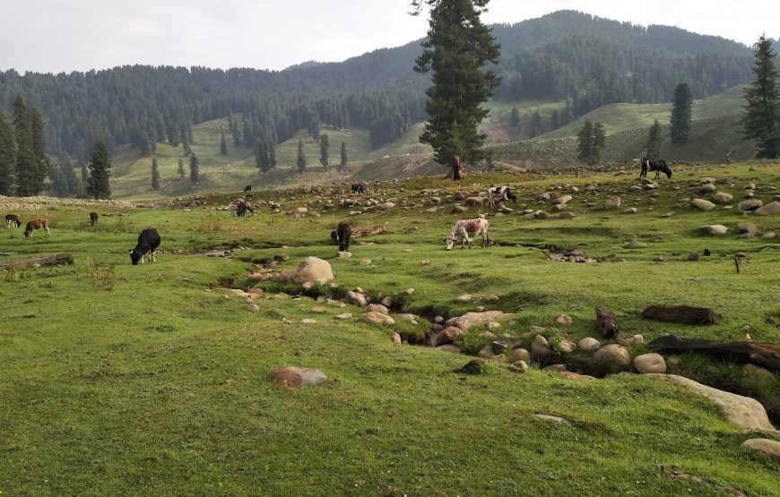 Cheranbal Kulgam – Jammu and Kashmir