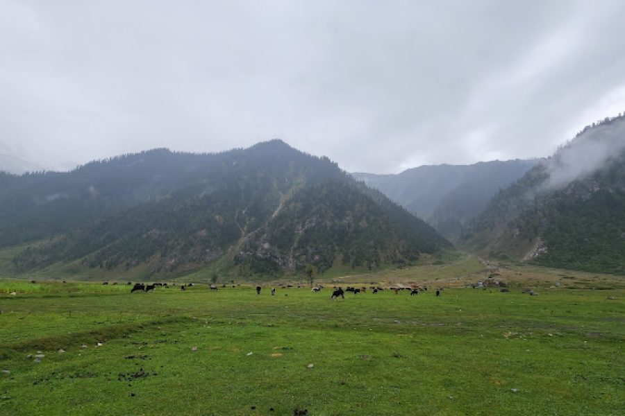 Camping Site Badwan – Jammu and Kashmir