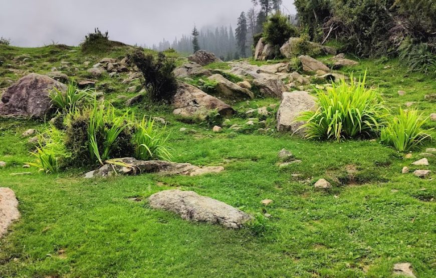Jamala village – Himachal Pradesh