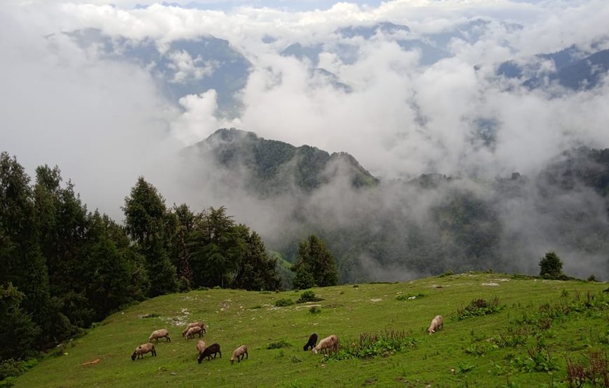 Shiv Gali, Dudu, Basantgarh – Jammu and Kashmir