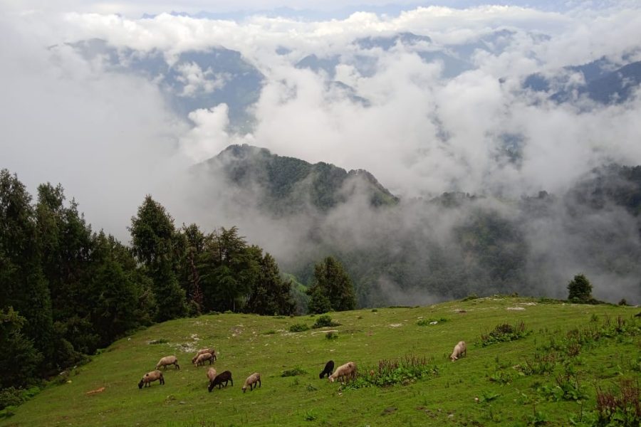 Shiv Gali, Dudu, Basantgarh – Jammu and Kashmir