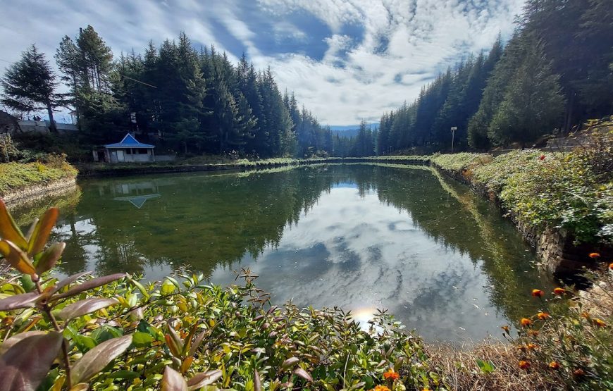Tanni Jubbar Lake –  Himachal Pradesh