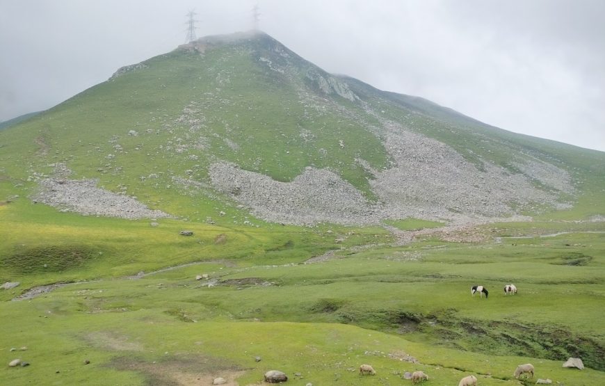 Peer Ki Gali – Jammu & Kashmir