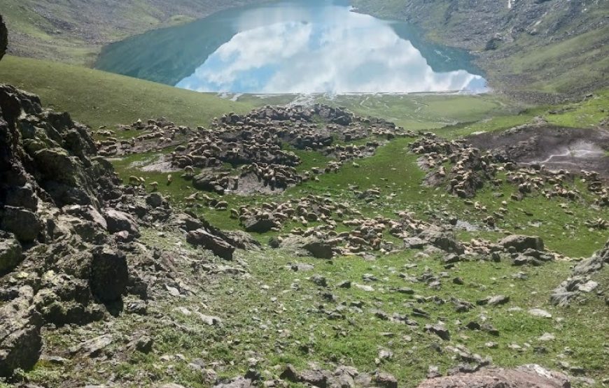 Marsar lake Camping – Jammu and Kashmir
