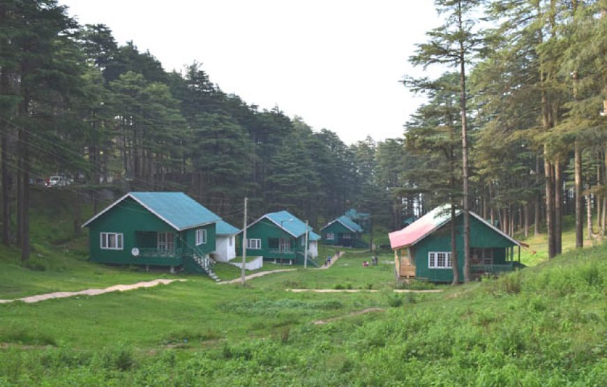 Jungle Gali – Jammu and Kashmir