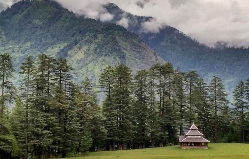 Shangarh Meadow – Himachal Pradesh