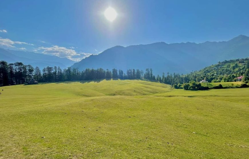 Shangarh Meadow – Himachal Pradesh