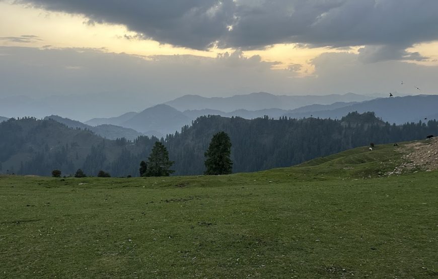 Tungasi Top – Himachal Pradesh