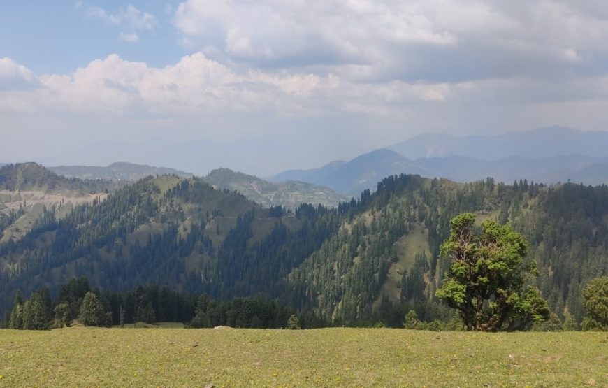 Tungasi Top – Himachal Pradesh