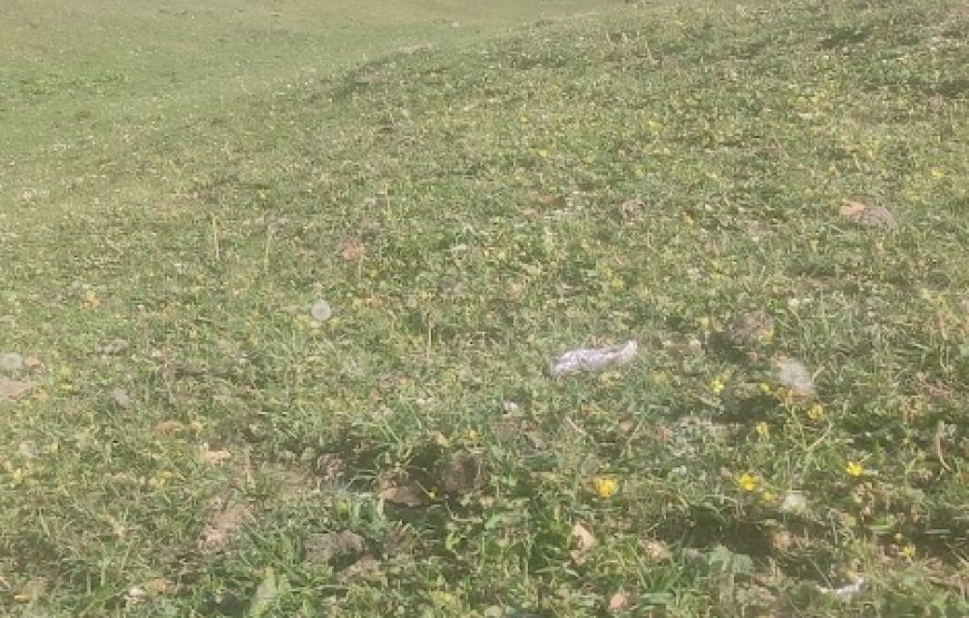 Tungasi Top – Himachal Pradesh
