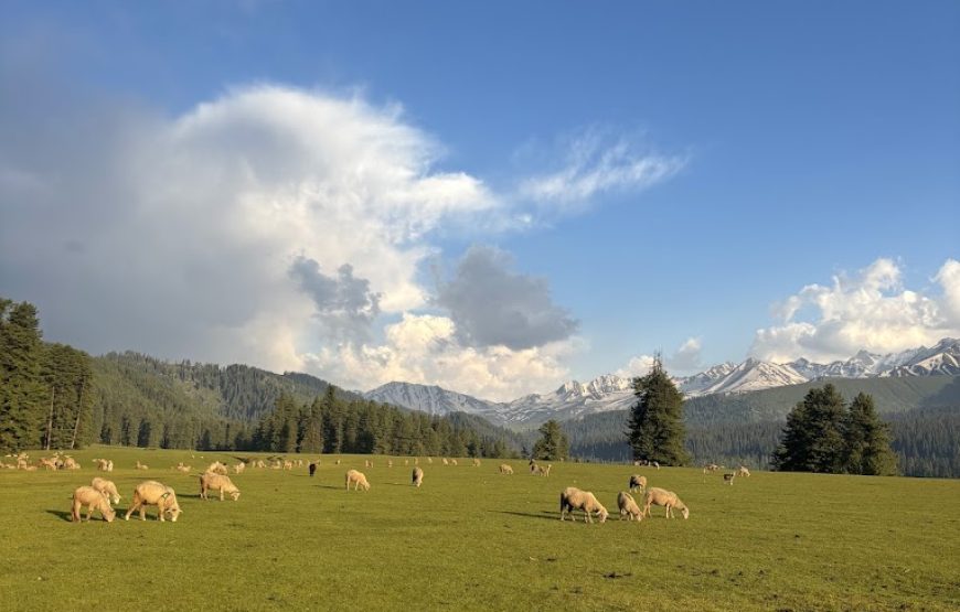 Cheranbal Kulgam – Jammu and Kashmir