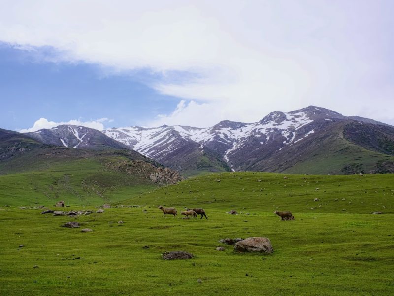 Peer Ki Gali – Jammu & Kashmir