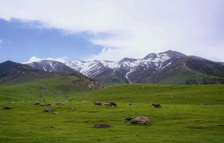 Peer Ki Gali – Jammu & Kashmir
