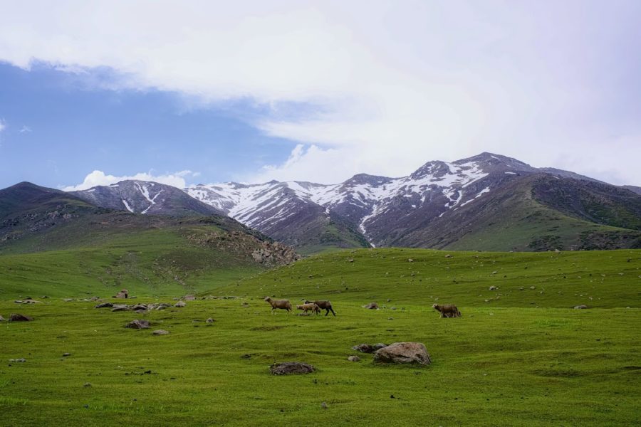 Peer Ki Gali – Jammu & Kashmir