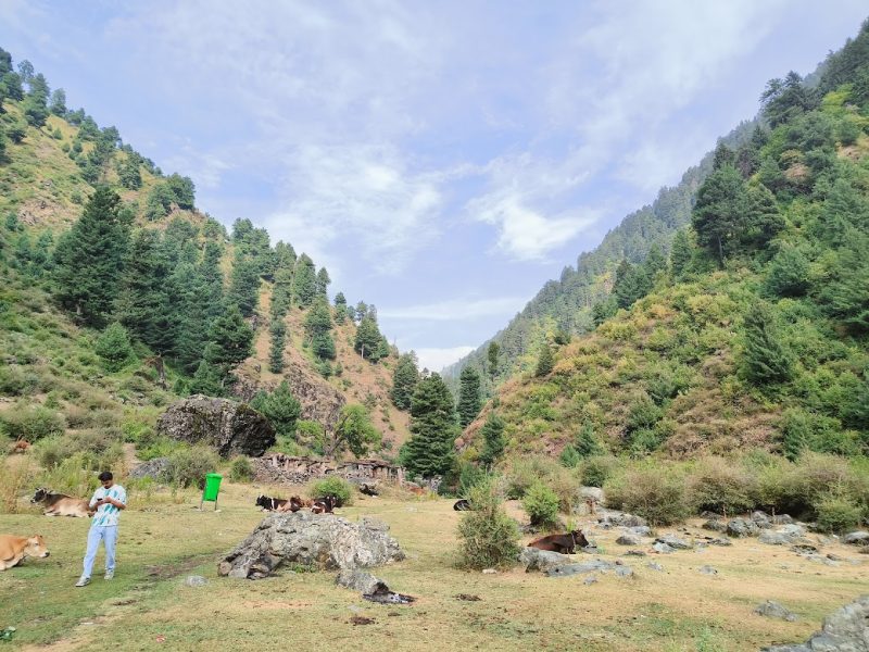 Camping site in Lam – Jammu and Kashmir
