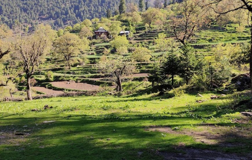 Shamthan Camping Site – Jammu and Kashmir