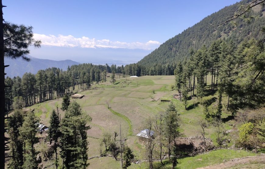 Shamthan Camping Site – Jammu and Kashmir