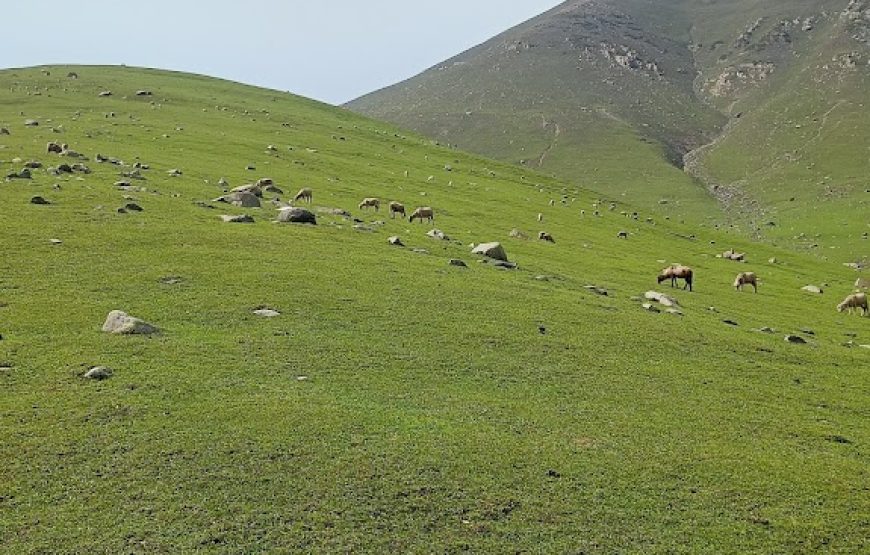Peer Ki Gali – Jammu & Kashmir