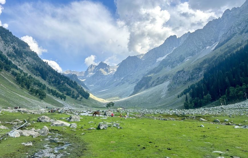 Thajiwas Glacier – Jammu and Kashmir