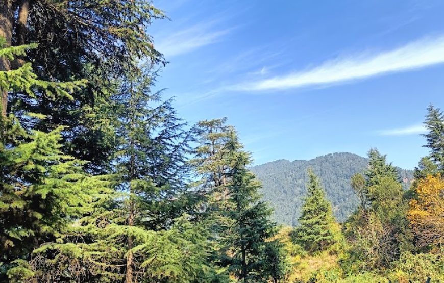 Nalthi Park – Jammu and Kashmir