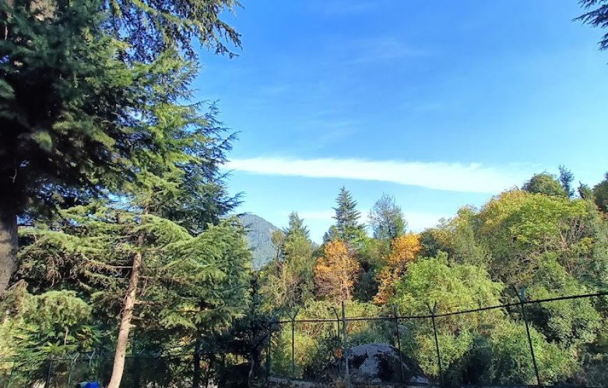 Nalthi Park – Jammu and Kashmir